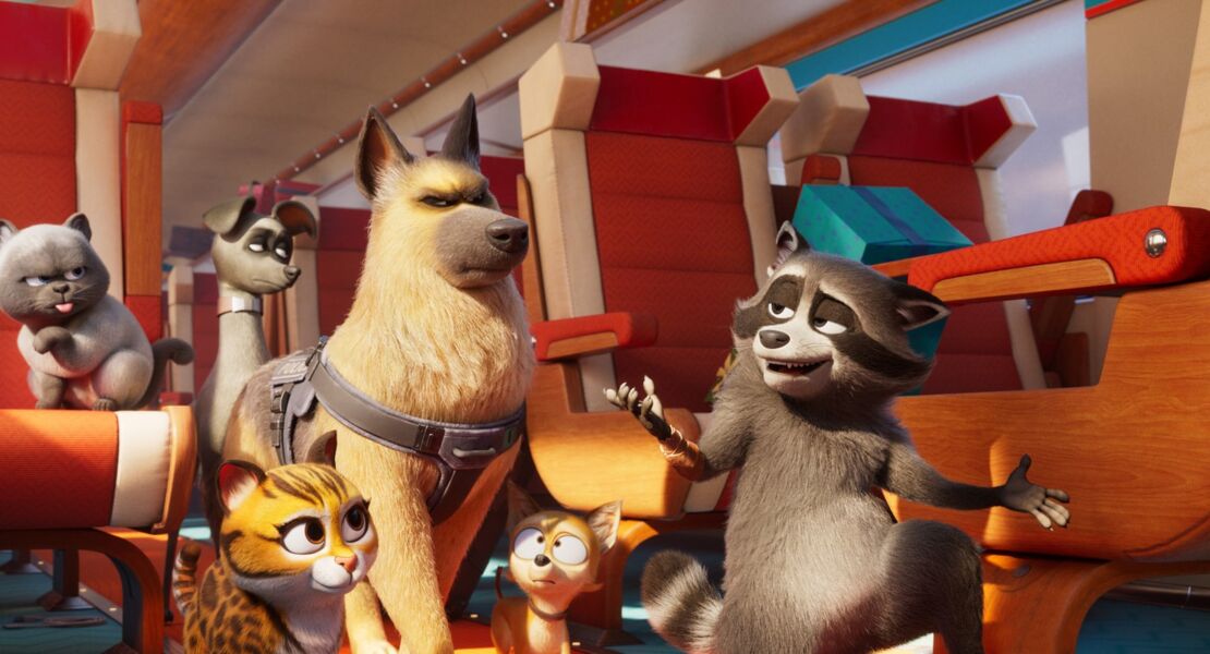 tierisch-abgefahren-rettet-die-pets