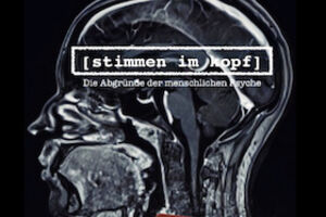 Stimmen im Kopf