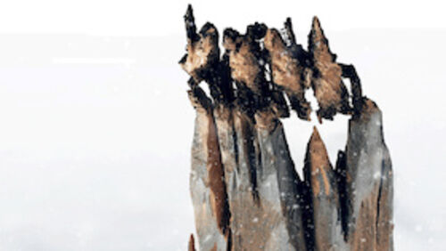 tous-sur-la-banquise-premiere