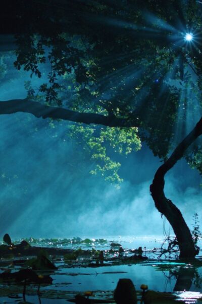 mavka-die-wahre-legende