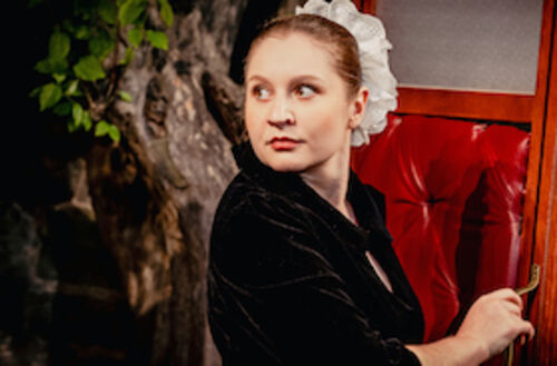 der-diener-zweier-herren-carlo-goldoni