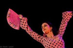 Tablao Flamenco - Flamencokonzert mit Tanz, Gitarre und Gesang