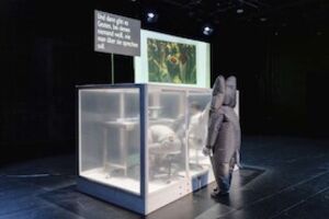 HANDS UP - 3 TAGE FREI