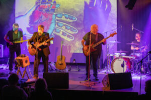 If You Wanted To - Singer-Songwriter Indie-Folkrock