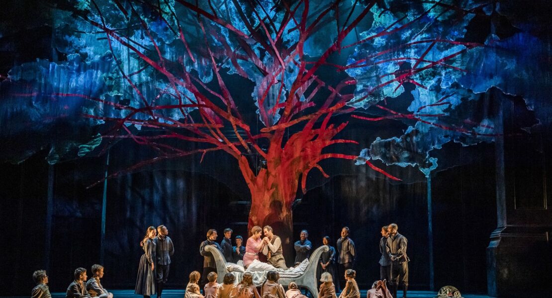 royal-ballet-opera-202526-die-zauberflote