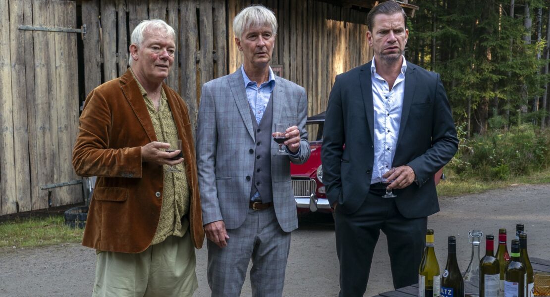 therapie-fur-wikinger